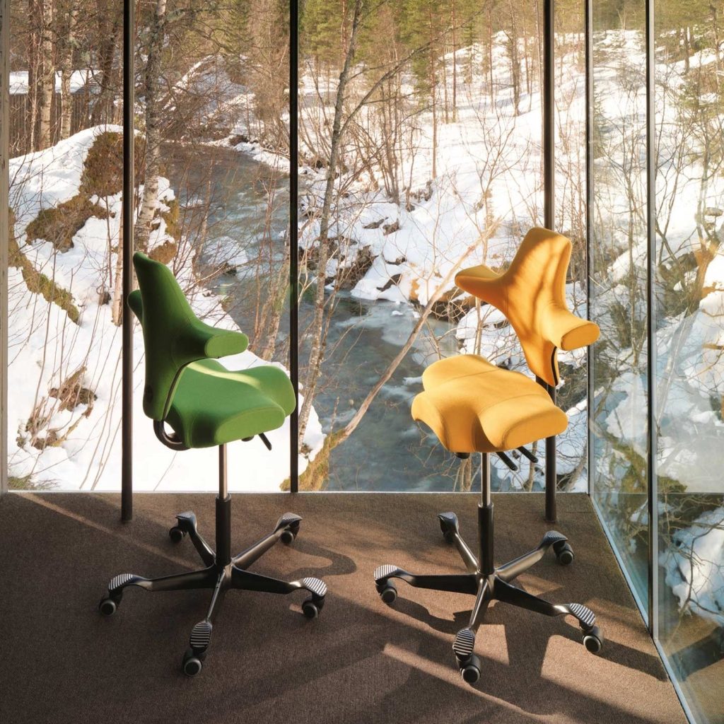 Fauteuil HÅG Capisco | Flokk – photo 4